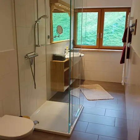Leni Apartment Schladming