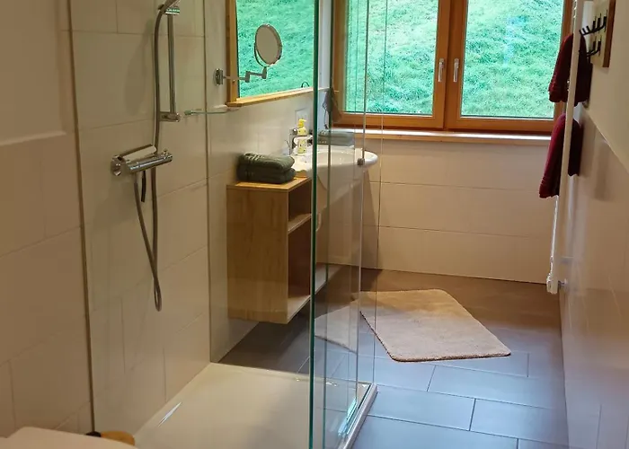 Leni Apartment Schladming